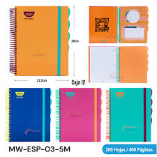 POINTER CATEDRA 5 M COLORES SURTIDOS LISOS