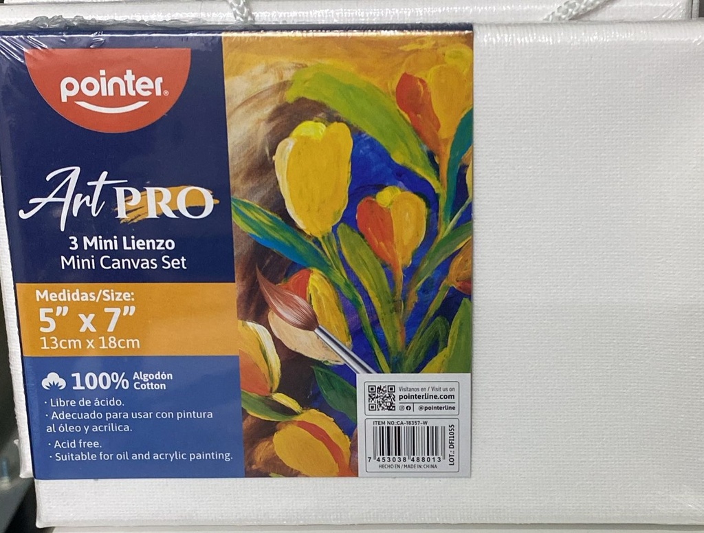 POINTER 3 Canvas P/Pintar 5x7" Lisa