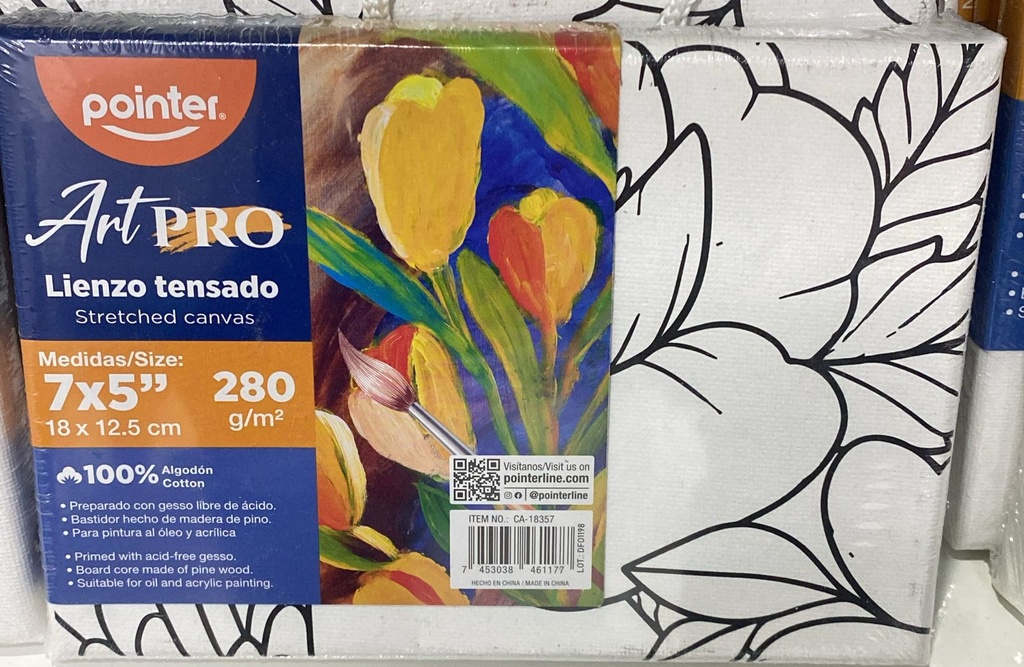 POINTER CANVAS / MINI LIENZO PARA Pintar 5x7" C/Dibujo Mandala VARIOS