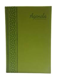 POINTER AGENDA COLOR VERDE