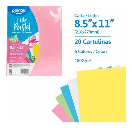 CARTULINA PASTEL 20/1 8.5X11 POINTER