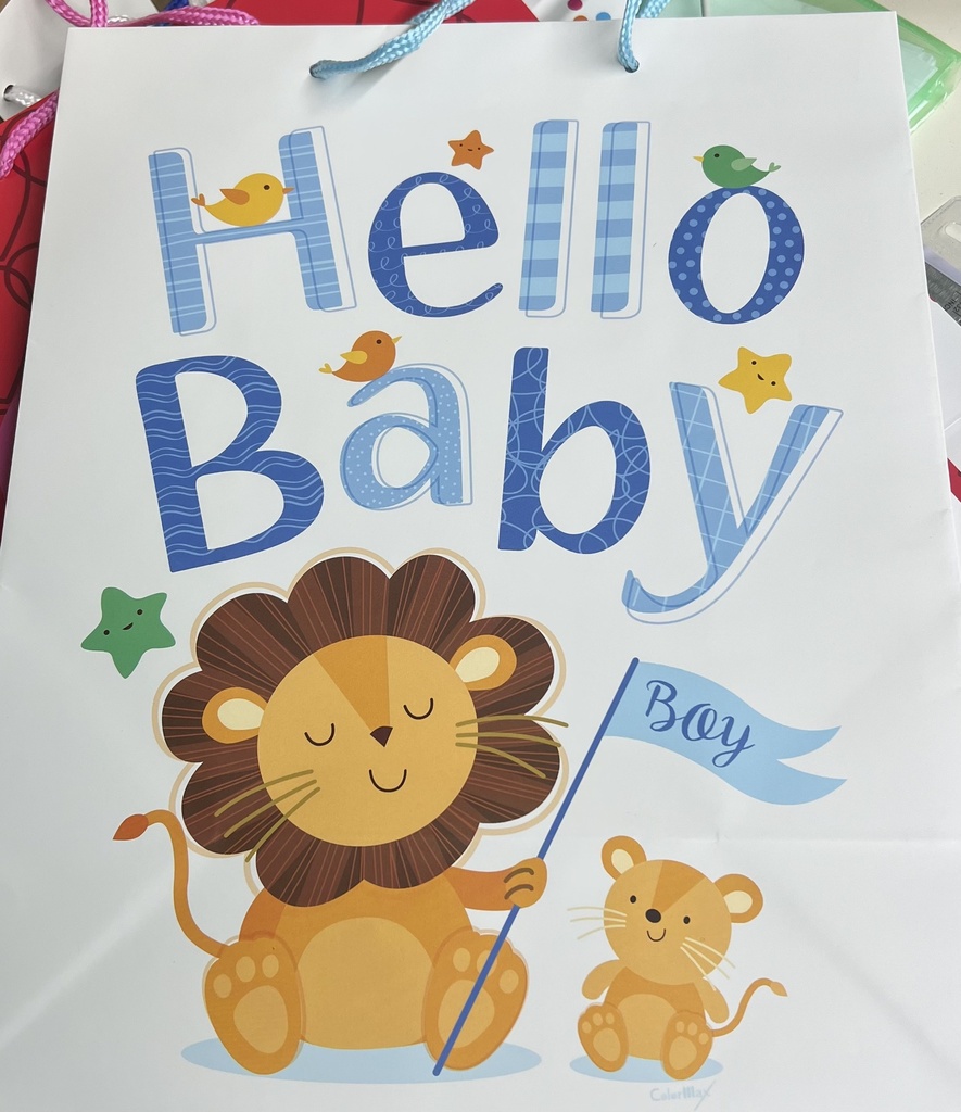 BOLSO DE REGALO HELLO BABY SURT TALBOT