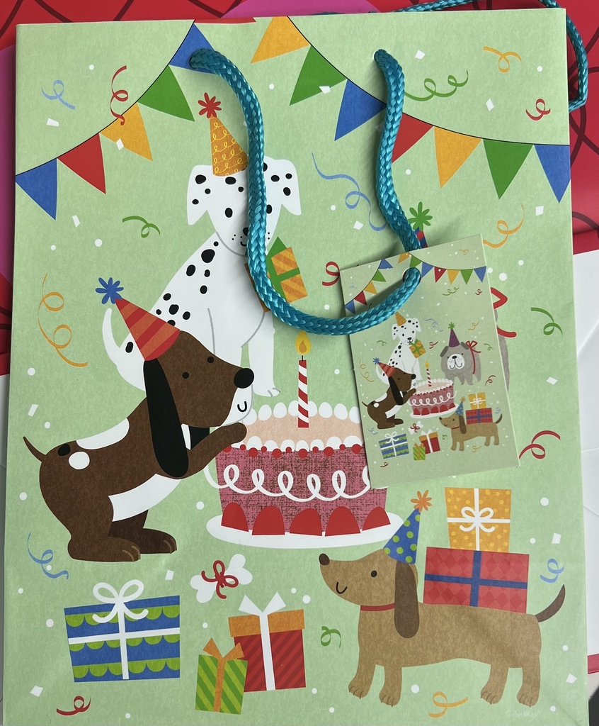 BOLSO DE REGALO CUMPLEAÑOS MEDIANA SURT TALBOT