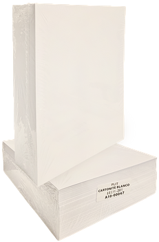 Hoja Cartonite Calibre 12 Blanco 8.5 x 11 (Ud)