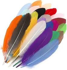 ARTESCO pluma multicolores