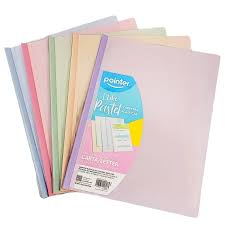 POINTER CARPETA PLASTICA CON BARILLA COLORES PASTELES