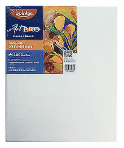 Canvas p/pintar 8x12" lisa 20 x 30 cm / Lienzo POINTER